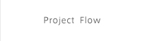 Project Flow