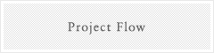 Project Flow