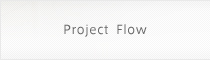 Project Flow