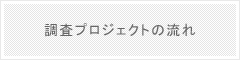 調査プロジェクトの流れ